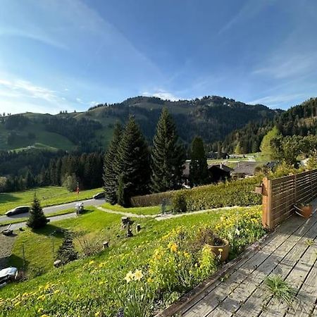 Chalet Du Moleson グリュイエール エクステリア 写真