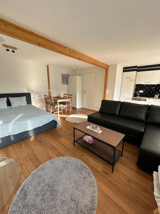Chalet Du Moleson グリュイエール エクステリア 写真